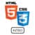 HTML5 Intro Logo